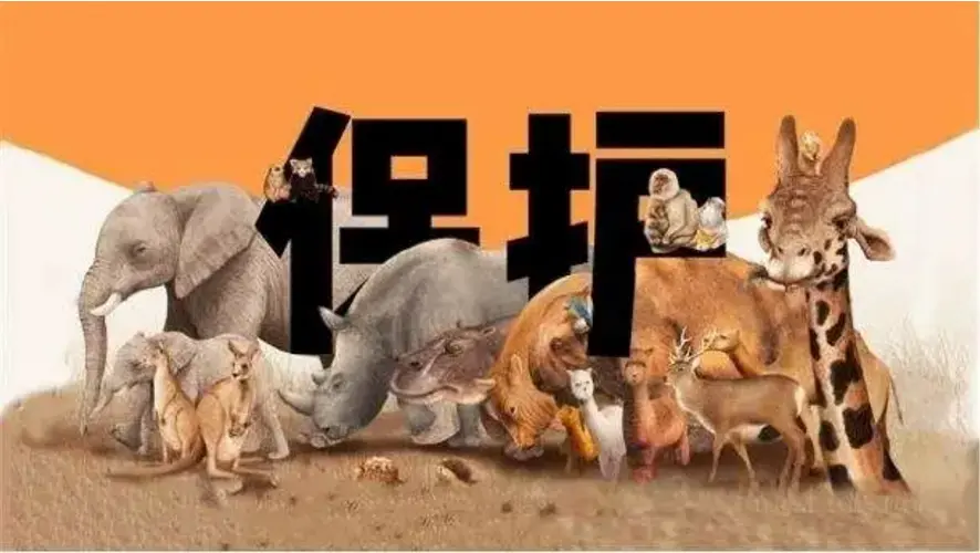 欲钱买土生土长的动物打一生肖的警惕虚假宣传-全面释义、解释与落实、精准解答解释落实