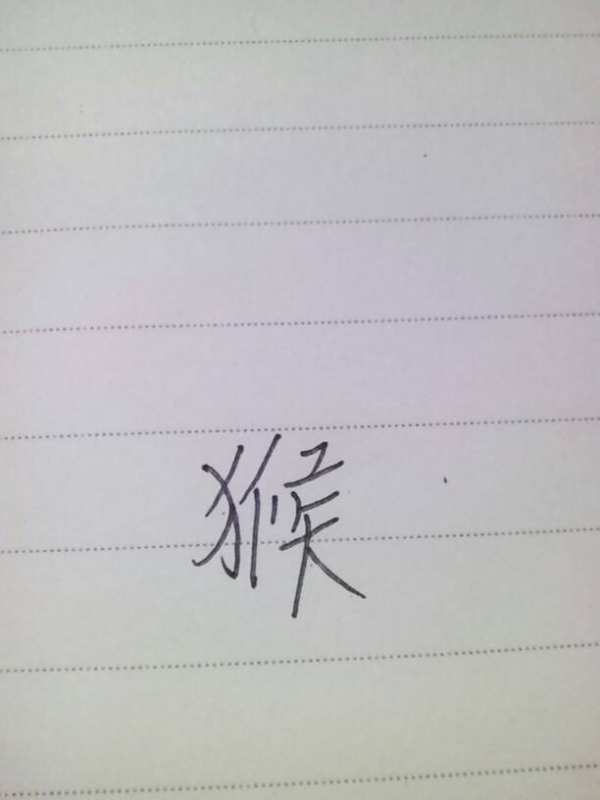 財源廣進你家門，一唱一合走天下打一准确生肖仔细释义、解释与落实、精准解答解释落实