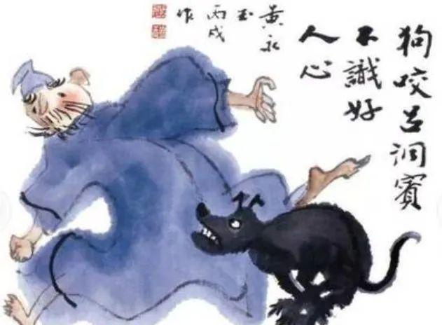 狗拿贼鼠满地跑狐假虎威一家主是什么生肖全面释义、构建解答解释落实